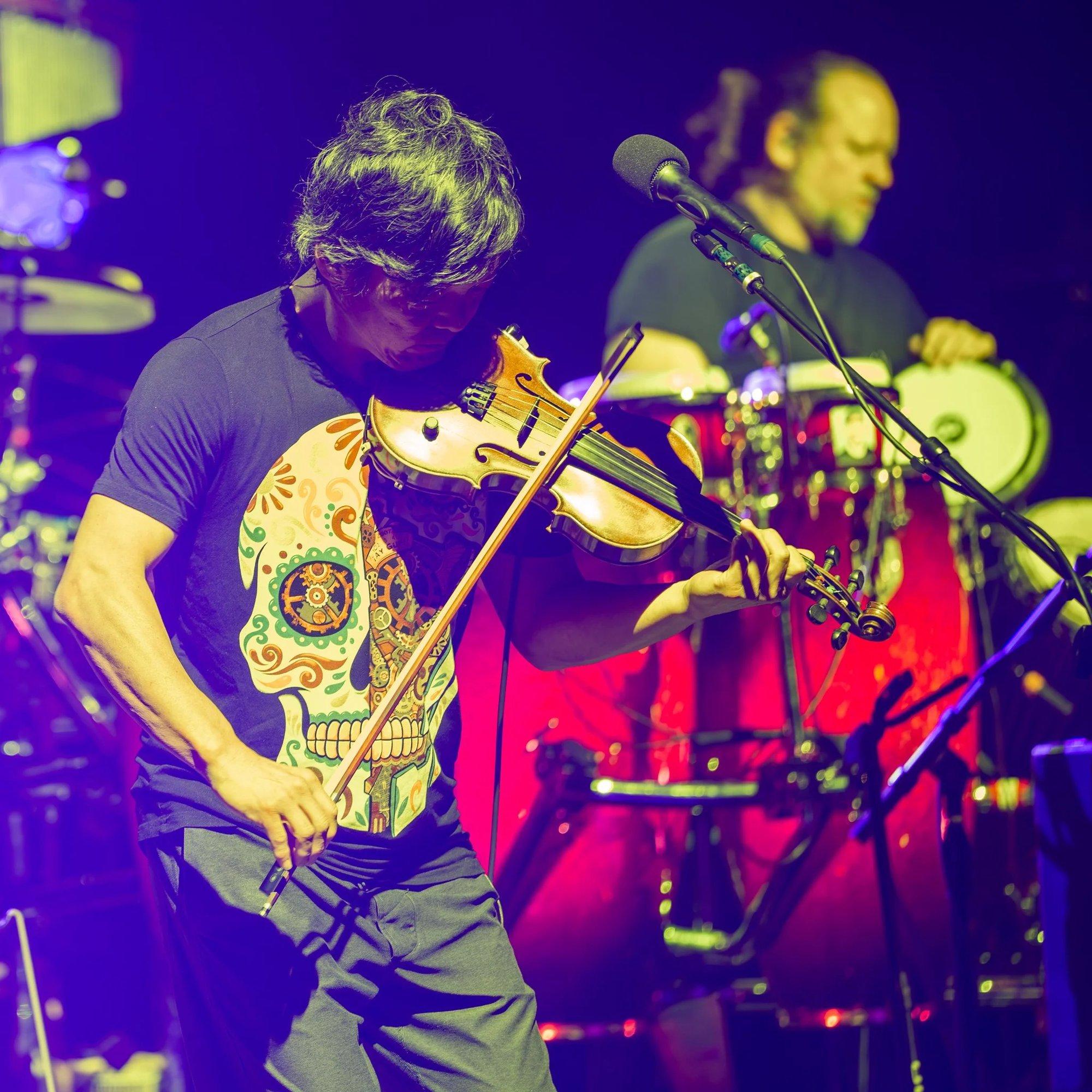 Fiddle player mid-bow in a sugar-skull shirt, drenched in magenta and gold light
